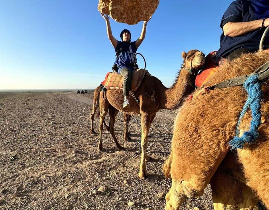Marrakech : Quad Bike and Camel Ride with dinner in Agafay - Quad biking in Agafay: terrain fun, shared ride dynamics, and what to wear