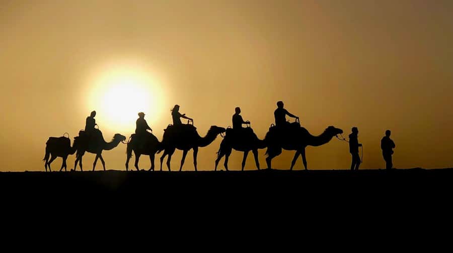 Marrakech: Quad Bike & Camel with dinner show & sunset - Key things I’d bet you’ll care about