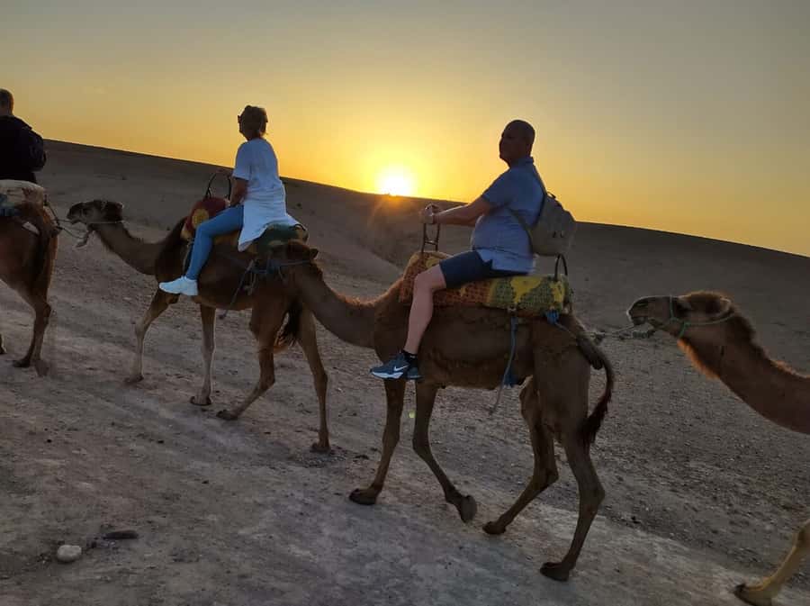 Marrakech: Quad Bike & Camel with dinner show & sunset - Agafay Desert at Golden Hour: Quad Meets Camel