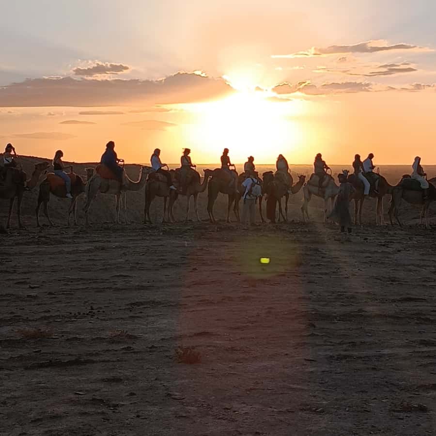 Marrakech: Quad Bike & Camel with dinner show & sunset - Quad Bike and Camel Time: How the 1.5-Hour Ride Feels