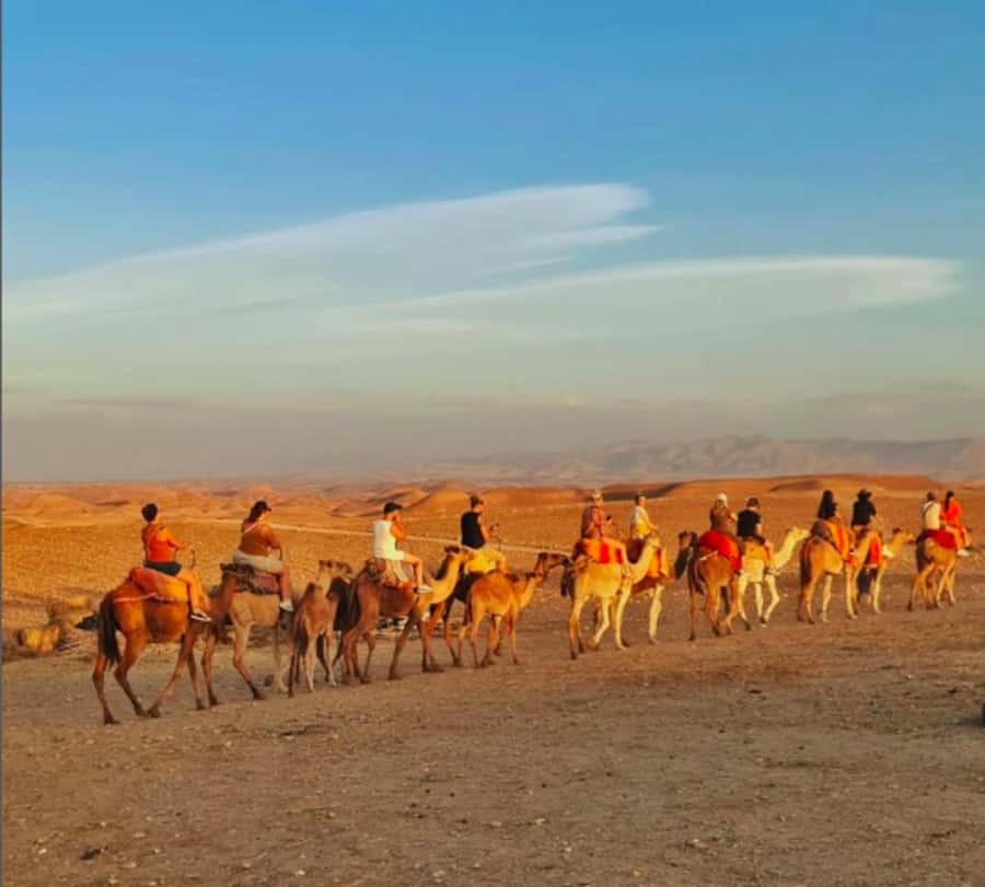 Marrakech: Quad Bike & Camel with dinner show & sunset - Sunset Photos and Atlas-Mountain Views: When the Desert Turns Red