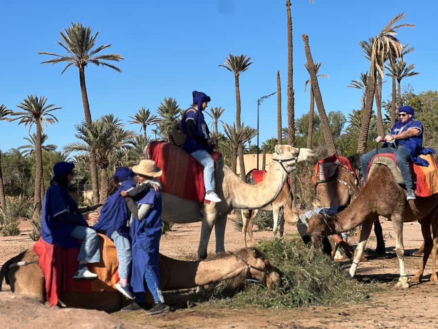 Marrakech: Quad Bike excursion at the sunset with Tea Break - Key moments that make this tour worth it