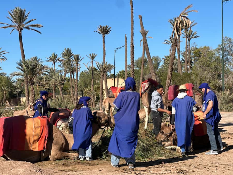 Marrakech: Quad Bike excursion at the sunset with Tea Break - A few “know before you go” points that save surprises