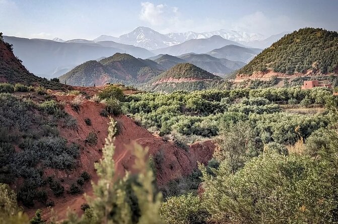 Marrakech: Quad Bike, Sunset, and Dinner Show in Agafay Desert - Group size, guides, and how the experience feels in practice