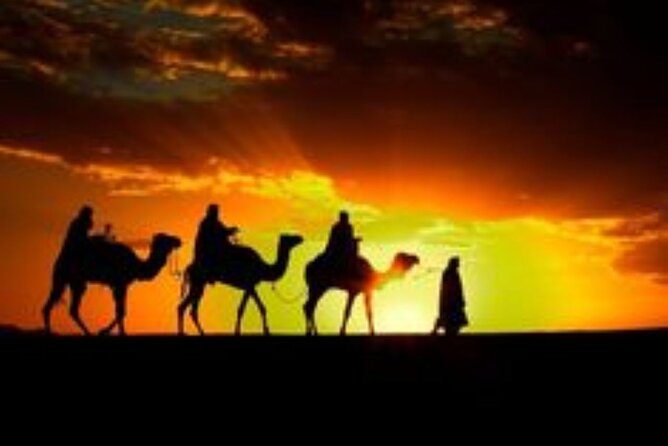Marrakech: Quad & Camel Ride with Sunset, Dinner & Show - Key Highlights You’ll Actually Care About