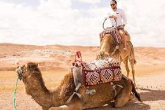 Marrakech: Quad & Camel Ride with Sunset, Dinner & Show - Camel Riding at Sunset: When the Pace Slows Down