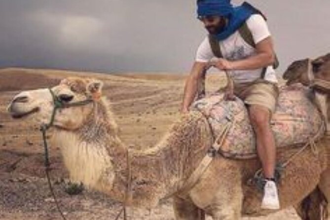 Marrakech: Quad & Camel Ride with Sunset, Dinner & Show - Price and Value: What $14 Buys in Real Terms