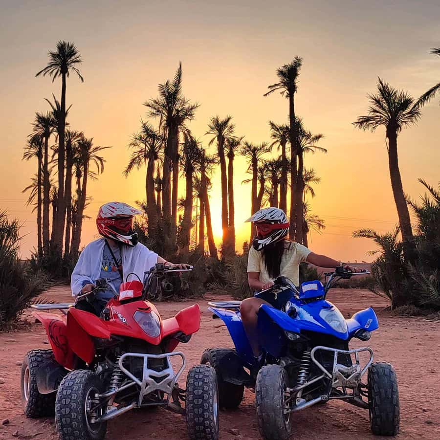 Marrakech: Quad excursion in the palm trees of Marrakech - Automatic quads vs. camel riding: pick the vibe that fits you
