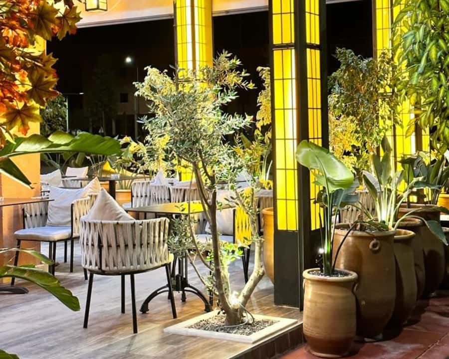 Marrakech: Restaurant Dinner Experience with Hotel Pickup - Drinks and the real cost of a full evening
