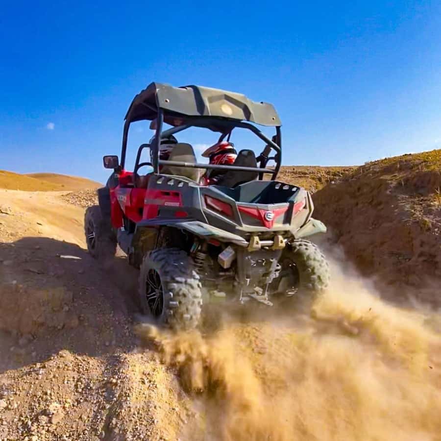 Marrakech : Ride buggy in the desert of the palm grove - Key Highlights You’ll Care About
