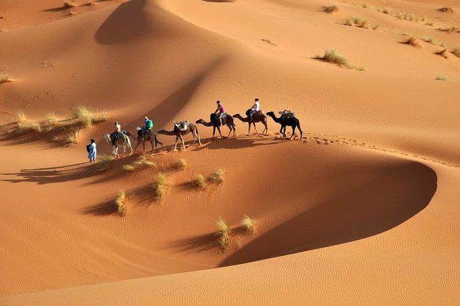 Marrakech- Route of the Kasbahs- Merzouga Desert 6 nights / 7 days - Marrakech arrival: a Medina base and a smooth start from Menara