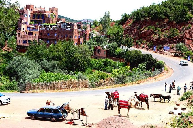 Marrakech : shared trip to ourika valley with guide & lunch - Berber village walk: house visit, viewpoints, and culture on your schedule