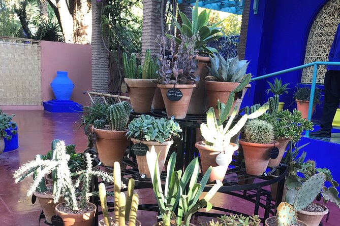 Marrakech Shopping Tour in the Best Galleries in Morocco. - Herbalism Marrakech: herbs, scents, and practical curiosity