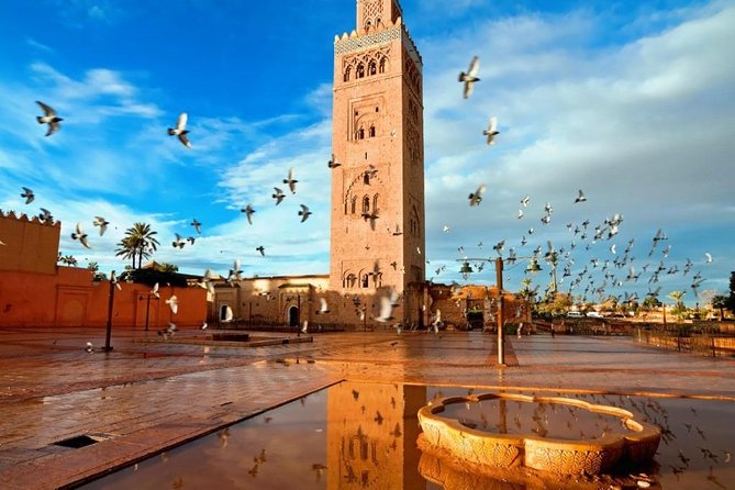 Marrakech Sightseeing Tour - Tickets, timing, and the add-on guide question