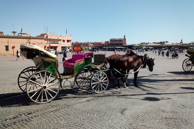 Marrakech sightseeing tour with driver - Menara Gardens and Pavilion: Short, Specific, and Historically Grounded