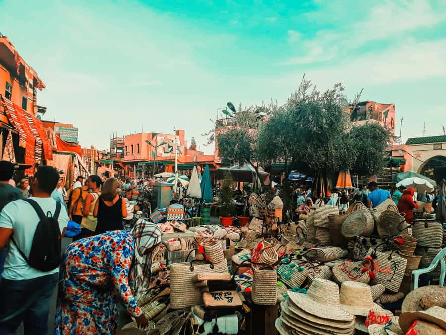 Marrakech & Souk Shopping Tour. - Who this tour suits best (and who might want a different plan)