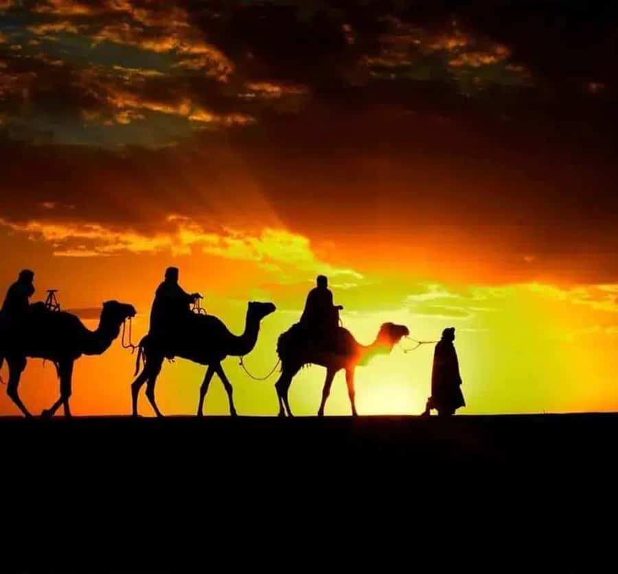 Marrakech: Sunrise Desert Tour with Camel Ride and Breakfast - Sunrise in Agafay Desert: the point of doing this early