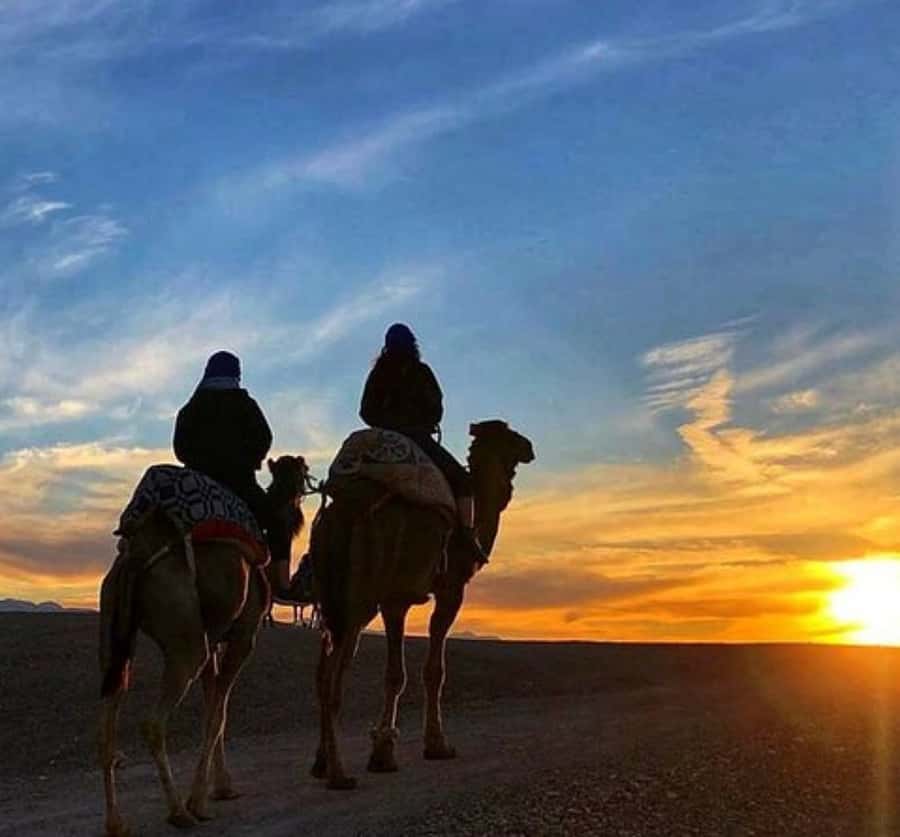 Marrakech: Sunrise Desert Tour with Camel Ride and Breakfast - The Touareg blue outfit: fun photos, real cultural touch