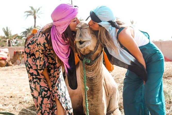 Marrakech Sunset Camel Ride in the Palm Grove - Palmeraie Camel Ride: Marrakech’s Shortcut to That Morocco Feeling