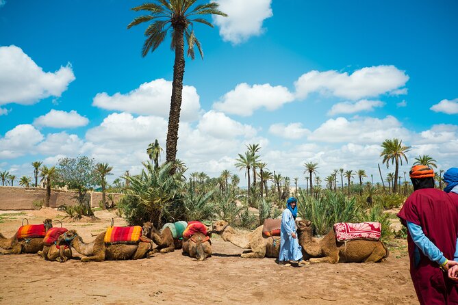 Marrakech Sunset Camel Ride in the Palm Grove - Getting Dressed Like a Nomad: The Outfit Part Actually Works