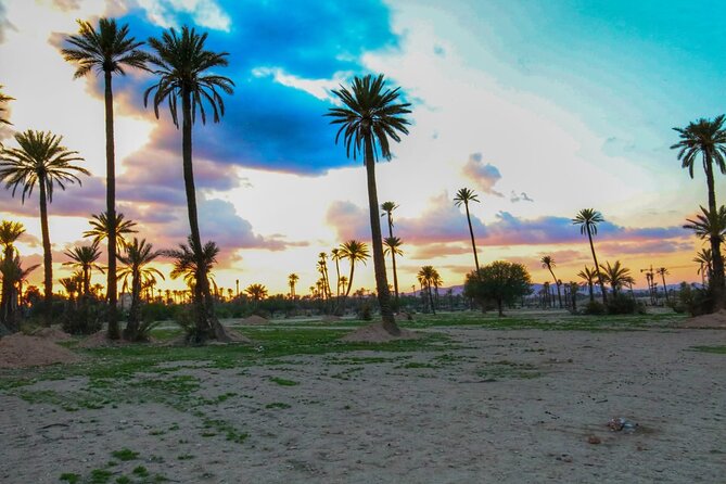 Marrakech Sunset Camel Ride in the Palm Grove - The Berber Home Stop: Mint Tea and Real Conversation