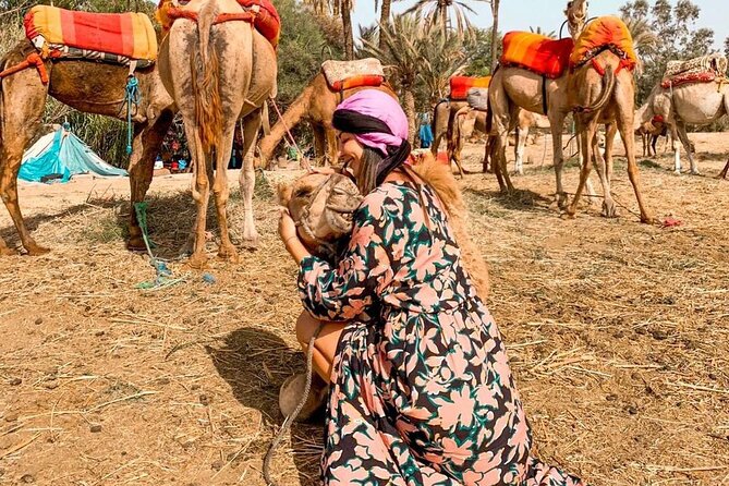 Marrakech Sunset Camel Ride in the Palm Grove - Photos at Golden Hour: What to Do So You Don’t Miss It