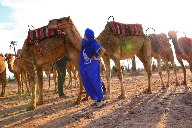 Marrakech Sunset Camel Ride in the Palm Grove - Duration and Group Size: Why 3 Hours Feels Right