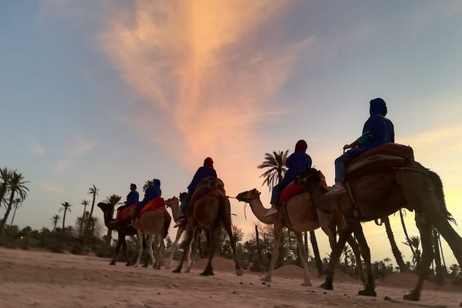 Marrakech Sunset Camel Ride in the Palm Grove - Pick-Up, Minivan Ride, and the Team That Sets the Tone
