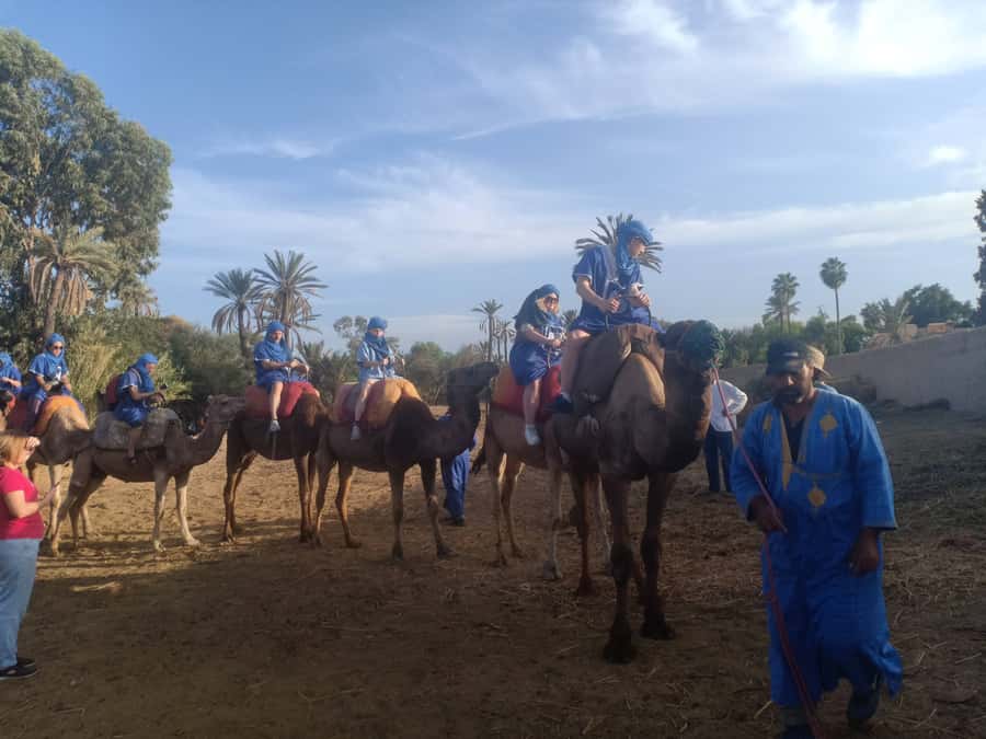 Marrakech: Sunset Camel Ride in the Palmeraie - Key things to know before you go