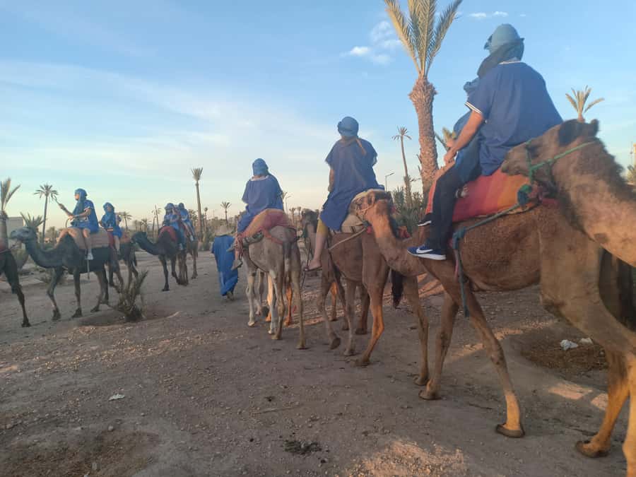 Marrakech: Sunset Camel Ride in the Palmeraie - Why the Palmeraie sunset camel ride feels different