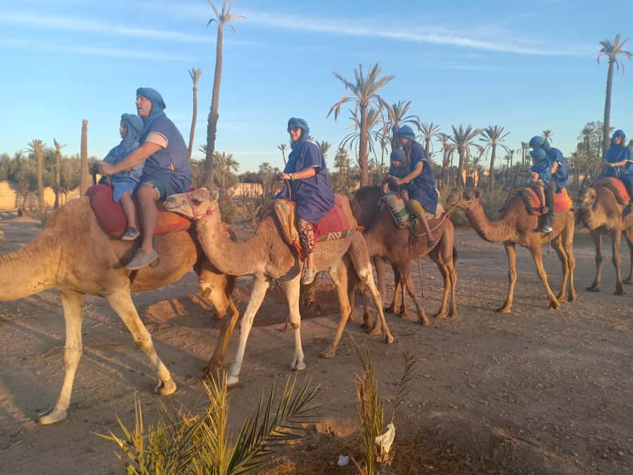 Marrakech: Sunset Camel Ride in the Palmeraie - Hotel pickup can make or break the sunset vibe