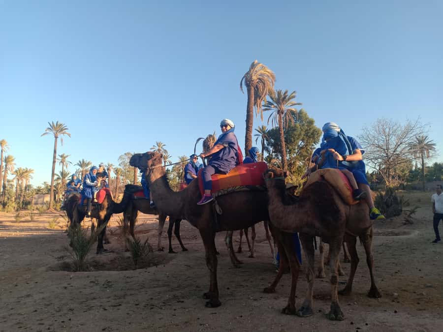 Marrakech: Sunset Camel Ride in the Palmeraie - Dressing like nomads: the Tuareg clothing and shesh effect