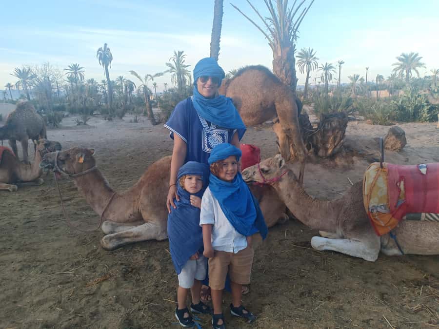 Marrakech: Sunset Camel Ride in the Palmeraie - The 1-hour ride through palm groves: what it’s like in motion