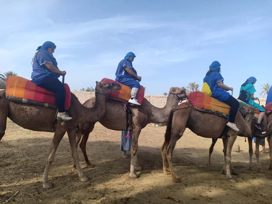 Marrakech: Sunset Camel Ride in the Palmeraie - Tea break: why the mint tea stop feels worthwhile