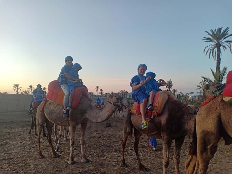 Marrakech: Sunset Camel Ride in the Palmeraie - Learning about Berbers and palm-grove life (without overpromising)