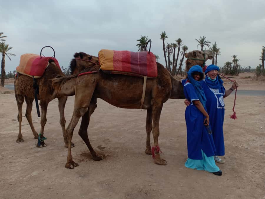 Marrakech: Sunset Camel Ride in the Palmeraie - The full 150 minutes: what happens from pickup to drop-off