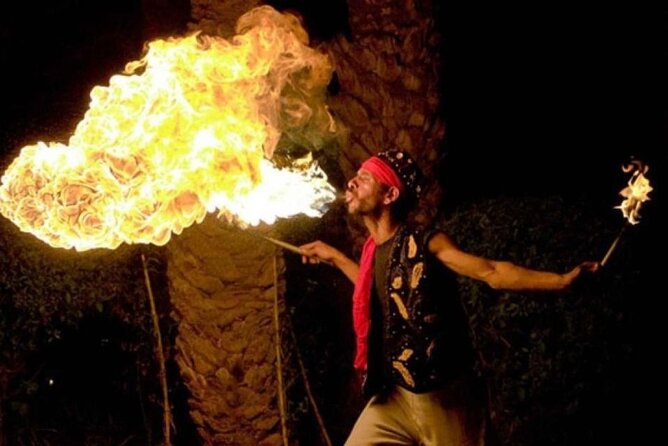 Marrakech: Sunset Dinner in Agafay Desert and camel ride - The Show and the Night-Sky Quiet Time