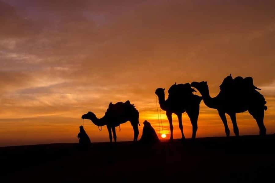 Marrakech: Sunset Dinner in Agafay Desert with Camel Ride - Berber fire show and music: the entertainment is part of the pacing