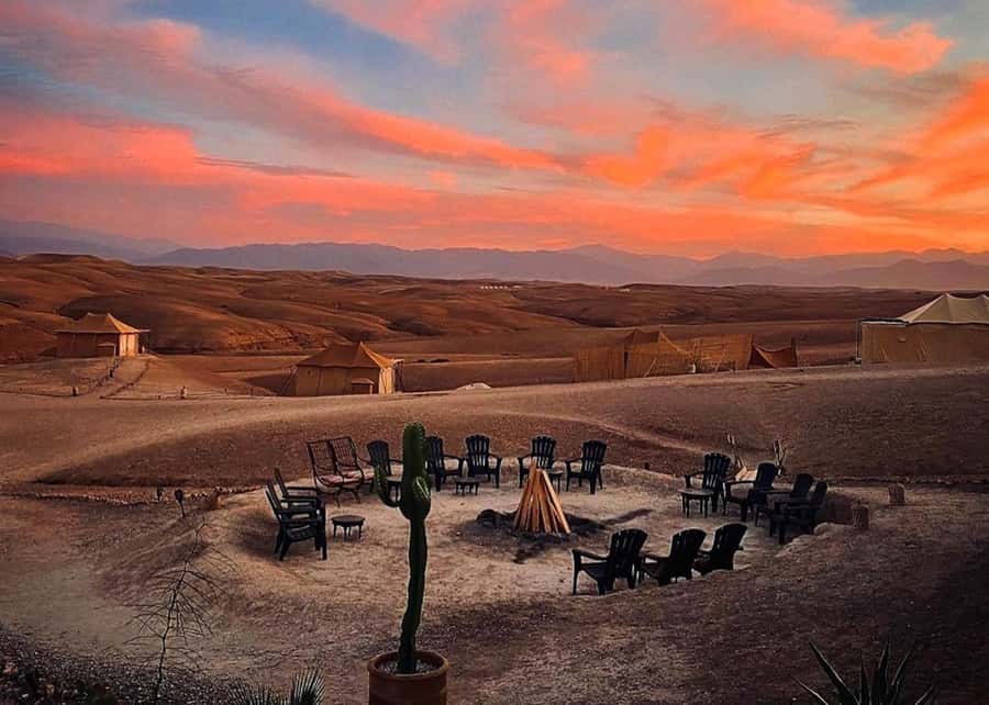 Marrakech: Sunset Dinner in Agafay Desert with Camel Ride - Price and value: why $33 can make sense here