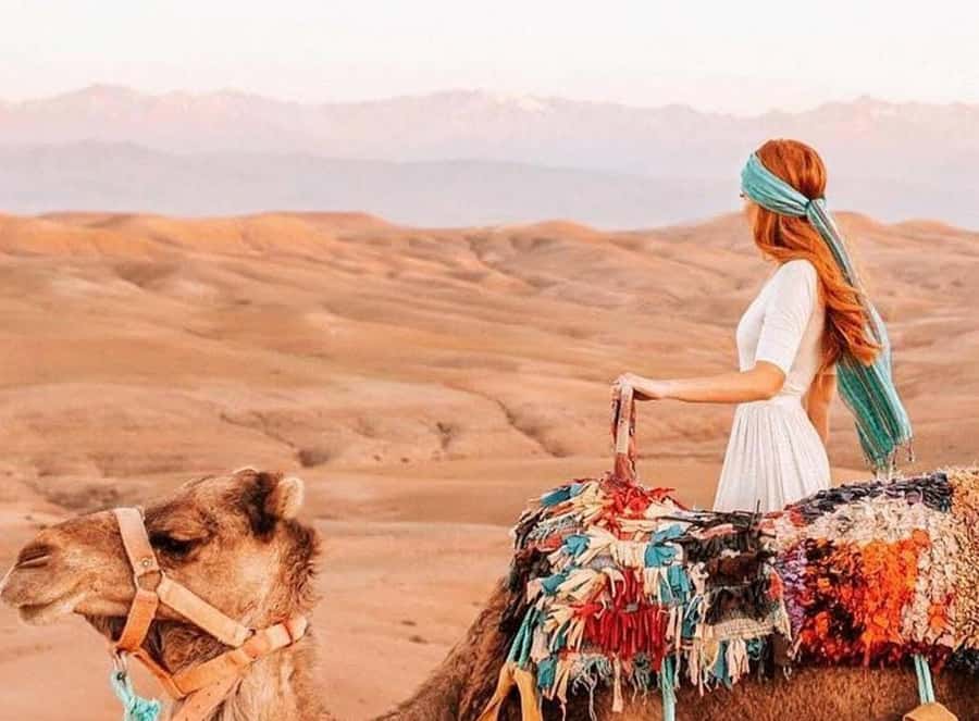 Marrakech: Sunset Dinner in Agafay Desert with Camel Ride - The argan oil cooperative: a practical cultural stop, not a hard sell