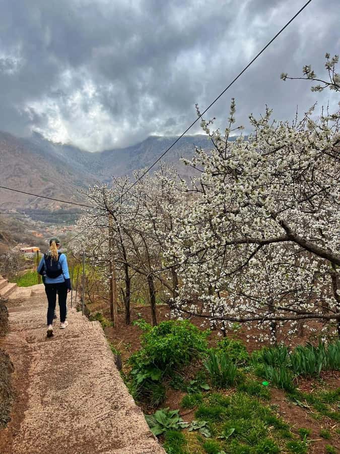 Marrakech: Tedli Summit Atlas Mountains Day Hike & Lunch - Marrakech to Imlil: the ride that sets the mood