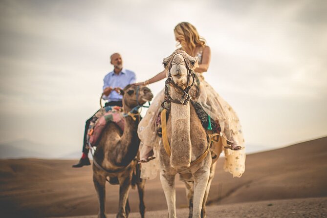 Marrakech: Three Valleys, Atlas, Camel Ride, Waterfalls, & Lunch - Key highlights worth your attention