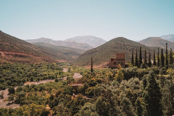 Marrakech: Three Valleys, Atlas, Camel Ride, Waterfalls, & Lunch - Argan oil with Berber women: what you learn (and why it’s worth it)