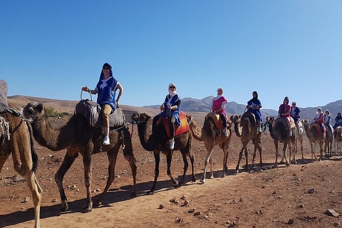 Marrakech: Three Valleys, Atlas, Camel Ride, Waterfalls, & Lunch - Berber lunch in a mountain home: the food is the big reason to go