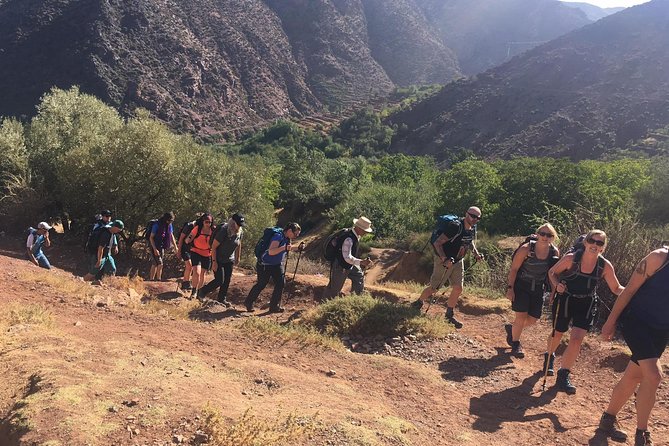 Marrakech to Atlas Mountains and 4 Valleys Day Trip - Imlil Stop: Lunch With Mint Tea and a Real Berber Village Walk