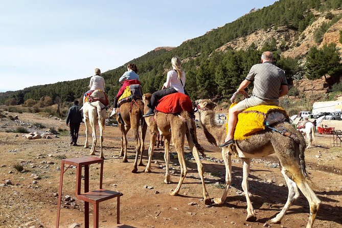 Marrakech to Atlas Mountains and 4 Valleys Day Trip - Camel Ride Through the Atlas Mountains Area: Fun, But Plan Carefully