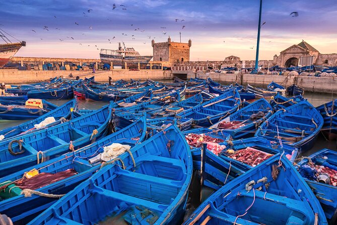 Marrakech to Essaouira: Day of Discovery Along Morocco Coastal - Key Things to Know Before You Go