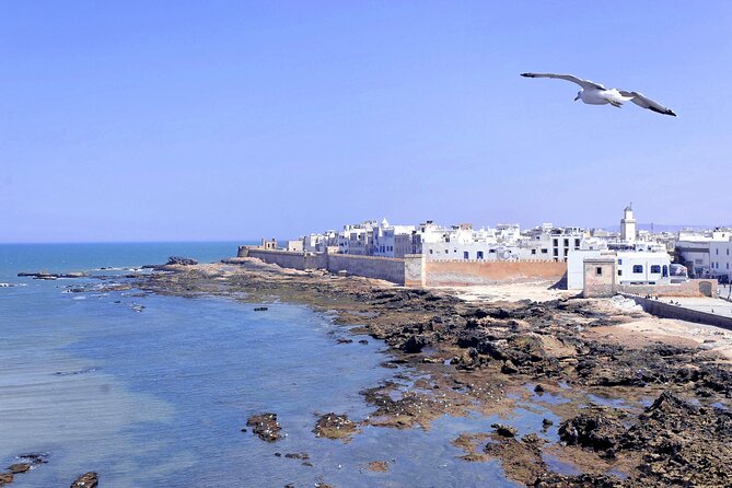 Marrakech to Essaouira Day Tour: History, Culture, and Sea - Essaouira Beach: sea wind, fishing views, and real downtime