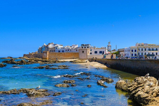 Marrakech to Essaouira Day Tour: History, Culture, and Sea - Price and value: does about $20.91 really make sense?