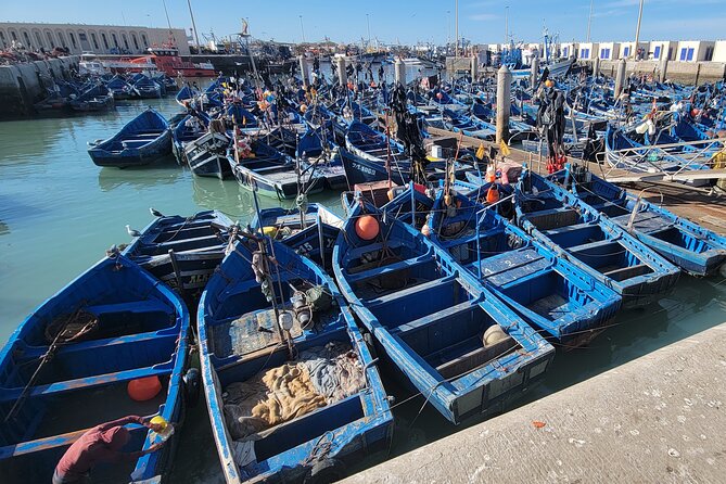 Marrakech to Essaouira Day Tour: History, Culture, and Sea - Afous Argan cooperative: the hands-on argan oil story